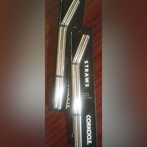 Corkcicle Silver Straws Set x 2